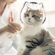 Copritesta per gatti portatile trasparente prevenire mordere e graffiare borsa da viaggio per gatti di sicurezza traspirante gatti prodotti per animali domestici - My Store Pet