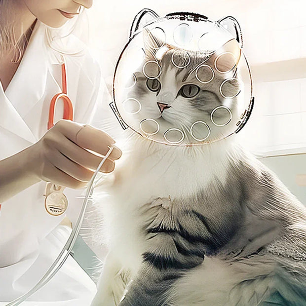 Copritesta per gatti portatile trasparente prevenire mordere e graffiare borsa da viaggio per gatti di sicurezza traspirante gatti prodotti per animali domestici - My Store Pet