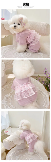 Pet Primavera Estate Tuta Carino Canotta di pizzo Cucciolo Teddy Cat Waffle Pizzo Cappotto a quattro zampe Cane di piccola taglia Vestiti per cuccioli Pigiama per cani - My Store Pet