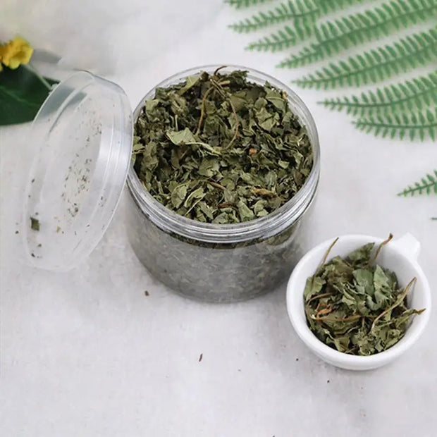 Catnip naturale organico Premium cattarts Cat Toy Cataria per eliminare i gatti Hairballs che assorbono gli alimenti integratore vitaminico - My Store Pet