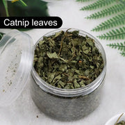 Catnip naturale organico Premium cattarts Cat Toy Cataria per eliminare i gatti Hairballs che assorbono gli alimenti integratore vitaminico - My Store Pet