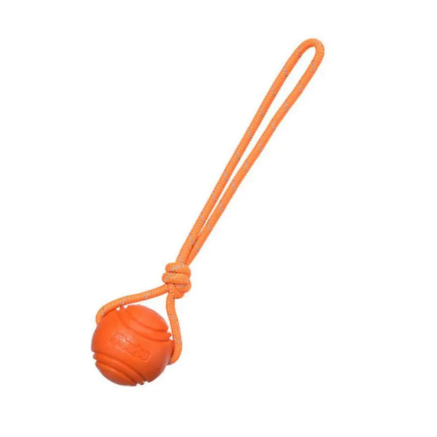 Giocattoli con palline per cani Palla di gomma rimbalzante Giocattoli da masticare Palla giocattolo per cani da compagnia con corde Giocattoli interattivi per giochi di cuccioli di grandi dimensioni - My Store Pet