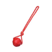 Giocattoli con palline per cani Palla di gomma rimbalzante Giocattoli da masticare Palla giocattolo per cani da compagnia con corde Giocattoli interattivi per giochi di cuccioli di grandi dimensioni - My Store Pet