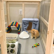 Triangolo Animale Domestico Gatto Ratto Coniglio Pipì Vasino Trainer Vassoio per lettiera Angolo WC per piccolo animale domestico Guinea Pig Toilette Lettiera - My Store Pet