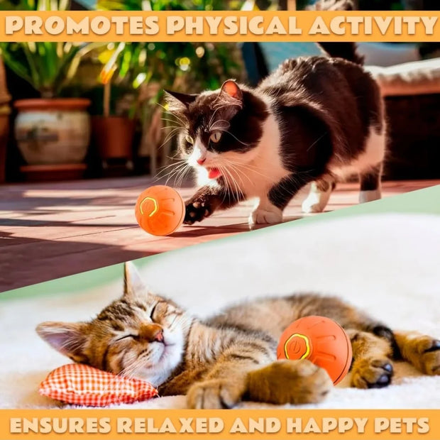 Giocattoli per animali domestici Palla per animali domestici con divertimento elettrico a gravità Palla rimbalzante intelligente per cani e gatti - My Store Pet