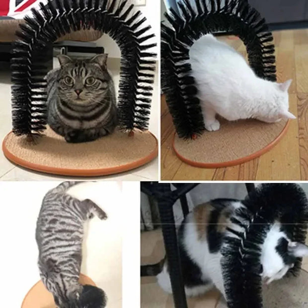 Giocattolo per gatti Arco Self Groome Pamper Felino con massaggio Toelettatura Spazzola per sfregamento con tiragraffi Giocattolo per gatti Giocattoli interattivi - My Store Pet