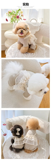 Pet Primavera Estate Tuta Carino Canotta di pizzo Cucciolo Teddy Cat Waffle Pizzo Cappotto a quattro zampe Cane di piccola taglia Vestiti per cuccioli Pigiama per cani - My Store Pet