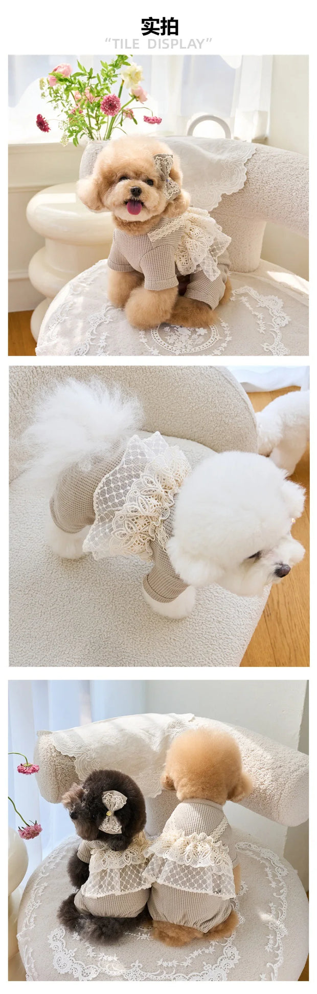 Pet Primavera Estate Tuta Carino Canotta di pizzo Cucciolo Teddy Cat Waffle Pizzo Cappotto a quattro zampe Cane di piccola taglia Vestiti per cuccioli Pigiama per cani - My Store Pet