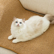 Tappetino per tiragraffi per gatti per interni tappetino protettivo resistente all'usura per gatti per gattini - My Store Pet