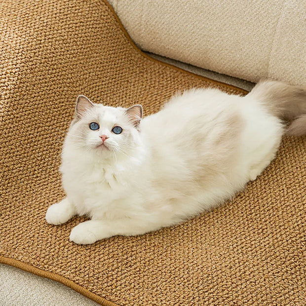 Tappetino per tiragraffi per gatti per interni tappetino protettivo resistente all'usura per gatti per gattini - My Store Pet