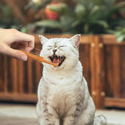 Spazzolino da denti per cani da compagnia Spazzolino da denti morbido in silicone Igiene orale Spazzolino da denti per cuccioli Dentifricio Kit per animali Pulizia dei denti Fornitori per la cura del gatto - My Store Pet