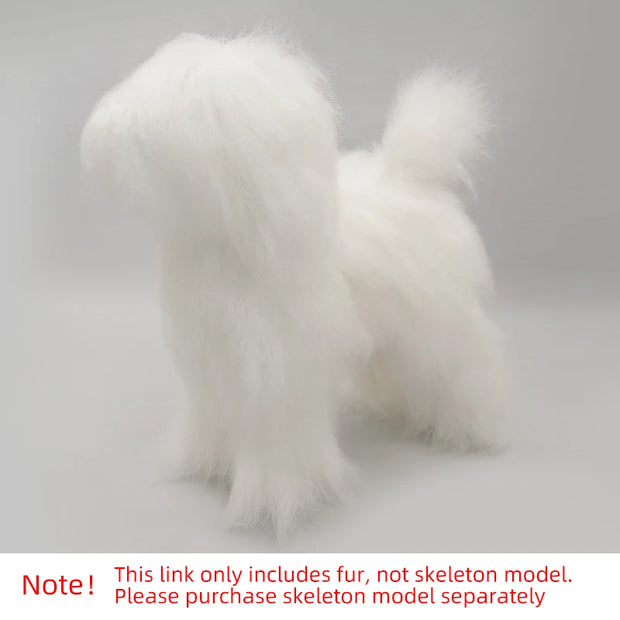 Simulazione dell'animale domestico capelli pratica di bellezza cane standard teddy dog intero corpo capelli finti solo Pet Grooming Trimming practice - My Store Pet