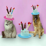 Cappello per cani da compagnia per la festa di compleanno Cappelli per cani regolabili Gatti Costumi per cani Toelettatura per cuccioli Cappello per animali domestici - My Store Pet