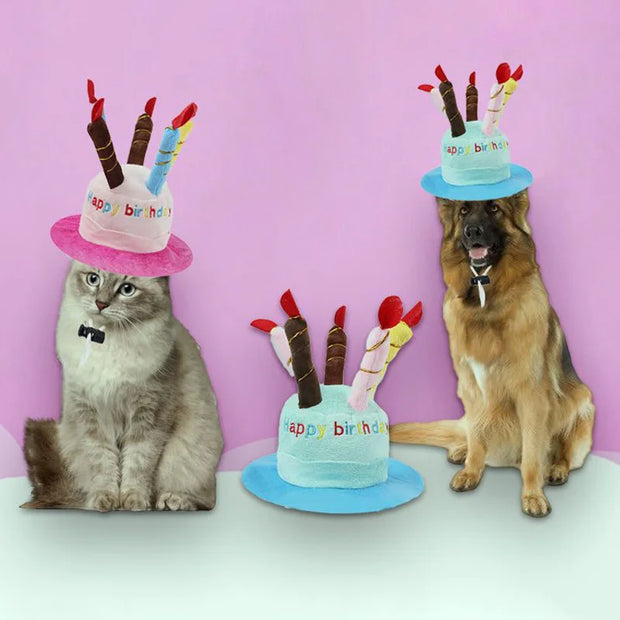 Cappello per cani da compagnia per la festa di compleanno Cappelli per cani regolabili Gatti Costumi per cani Toelettatura per cuccioli Cappello per animali domestici - My Store Pet