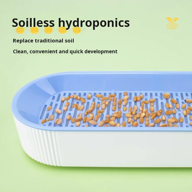 Scatola per erba idroponica per gatti, dolcetti per gatti, erba gatta, piantagione idroponica senza terreno, set di vasi per erba per gatti per una facile crescita - My Store Pet