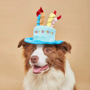 Cappello per cani da compagnia per la festa di compleanno Cappelli per cani regolabili Gatti Costumi per cani Toelettatura per cuccioli Cappello per animali domestici - My Store Pet
