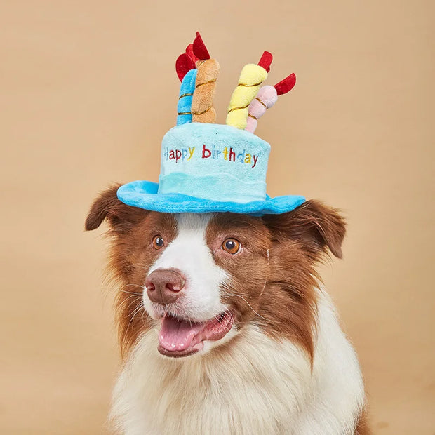 Cappello per cani da compagnia per la festa di compleanno Cappelli per cani regolabili Gatti Costumi per cani Toelettatura per cuccioli Cappello per animali domestici - My Store Pet