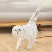 Palla di protezione per la testa del gatto, accessori per la toelettatura degli animali domestici, maschera traspirante, casco da nuoto, forniture per gatti - My Store Pet