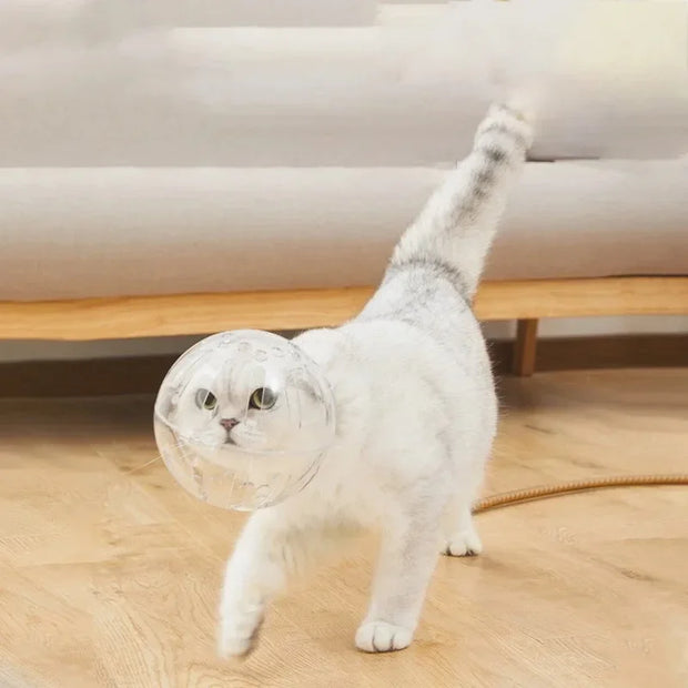 Palla di protezione per la testa del gatto, accessori per la toelettatura degli animali domestici, maschera traspirante, casco da nuoto, forniture per gatti - My Store Pet