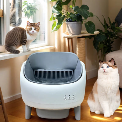 Toilette intelligente per gatti per animali domestici, lettiera elettrica per gatti, grande paletta automatica per cacca, lettiera per gatti per evitare schizzi all'esterno - My Store Pet