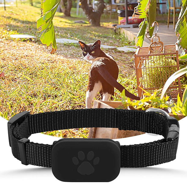 Gatto GPS Gatto Colla Protezione di sicurezza Batteria a lunga durata Pet Cat Locate Forniture per cuccioli di taglia media - My Store Pet