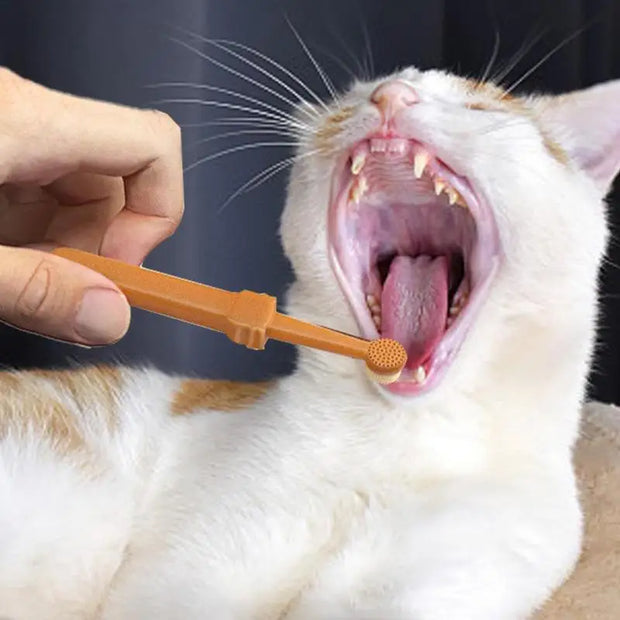 Spazzolino da denti per cani da compagnia Spazzolino da denti morbido in silicone Igiene orale Spazzolino da denti per cuccioli Dentifricio Kit per animali Pulizia dei denti Fornitori per la cura del gatto - My Store Pet