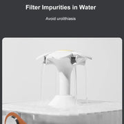 Distributore automatico di fontana d'acqua per gatti per animali domestici per gatti e cani - My Store Pet