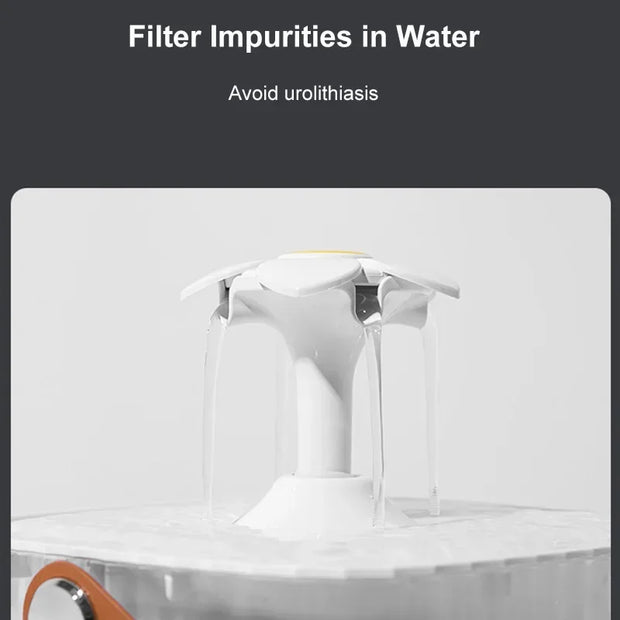 Distributore automatico di fontana d'acqua per gatti per animali domestici per gatti e cani - My Store Pet