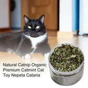Catnip naturale organico Premium cattarts Cat Toy Cataria per eliminare i gatti Hairballs che assorbono gli alimenti integratore vitaminico - My Store Pet