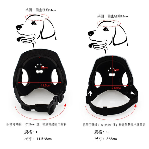 Caschi per animali domestici, casco per gatti, casco per cani-mini testa per esterni che protegge il cappello sicuro Casco per moto per cani Accessori per foto per animali domestici - My Store Pet