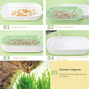 Scatola per erba idroponica per gatti, caramelle per gatti, erba per gatti, piantagione idroponica senza terreno - My Store Pet