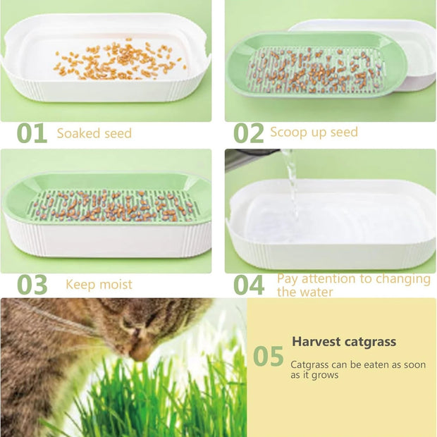 Scatola per erba idroponica per gatti, caramelle per gatti, erba per gatti, piantagione idroponica senza terreno - My Store Pet