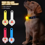 Collare per cani, collare per perdita, luce di sicurezza a LED resistente alle intemperie, collare luminoso a LED ricaricabile tramite USB, cane, gatto, animale domestico - My Store Pet