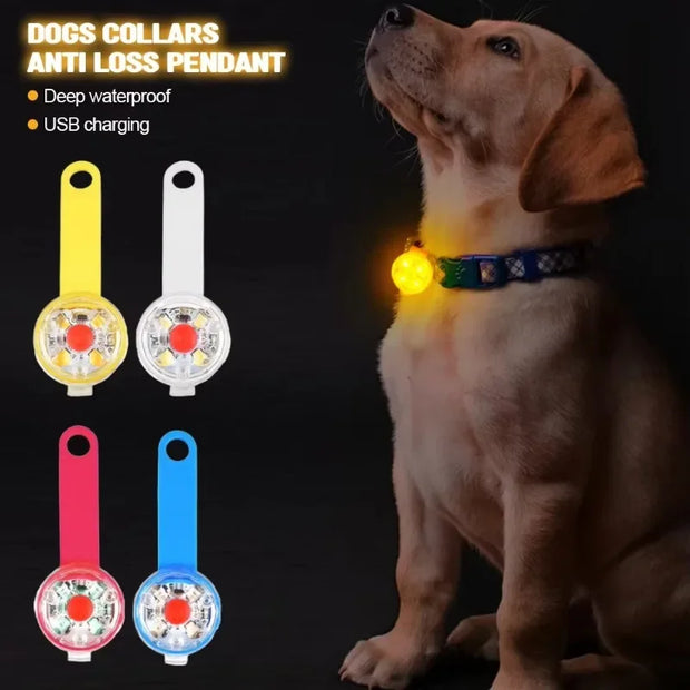 Collare per cani, collare per perdita, luce di sicurezza a LED resistente alle intemperie, collare luminoso a LED ricaricabile tramite USB, cane, gatto, animale domestico - My Store Pet