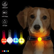 Collare per cani, collare per perdita, luce di sicurezza a LED resistente alle intemperie, collare luminoso a LED ricaricabile tramite USB, cane, gatto, animale domestico - My Store Pet