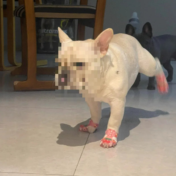 Sandali estivi per cani Cartoon Stivali da pioggia traspiranti antiscivolo alla moda Prodotto per animali domestici resistente all'usura impermeabile Accessori per esterni - My Store Pet