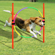 Attrezzature per prodotti per l'addestramento del cane cani portatili strumento per saltare cani all'aperto paletto da corsa paletti sportivi palo attrezzature per l'agilità dell'animale domestico - My Store Pet