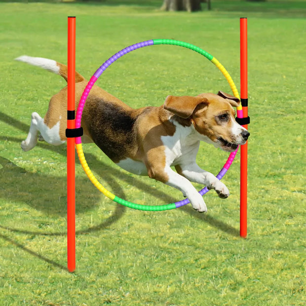 Attrezzature per prodotti per l'addestramento del cane cani portatili strumento per saltare cani all'aperto paletto da corsa paletti sportivi palo attrezzature per l'agilità dell'animale domestico - My Store Pet