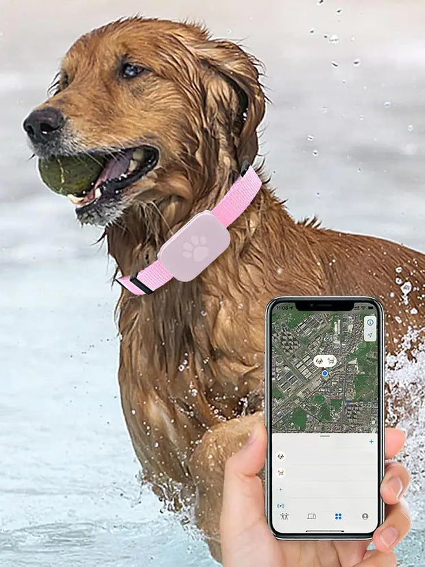 Gatto GPS Gatto Colla Protezione di sicurezza Batteria a lunga durata Pet Cat Locate Forniture per cuccioli di taglia media - My Store Pet