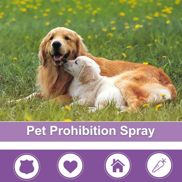 Pet Calming Spray – Natural Anxiety Relief for Dogs & Cats | Reduce Howling, Soothe Emotions, Manage Estrus Behavior - My Store Pet