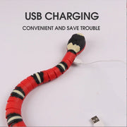 USB Rechargeable Automatic Cat Toy for Indoor Play - My Store Pet