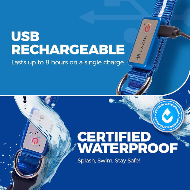 USB Rechargeable & Waterproof Light-Up Pet Collar for Night Safety - My Store Pet