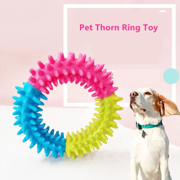 Durable Rubber Chew Toy for Small Dogs – Teeth Cleaning & Bite-Resistant Puppy Training Toy - My Store Pet